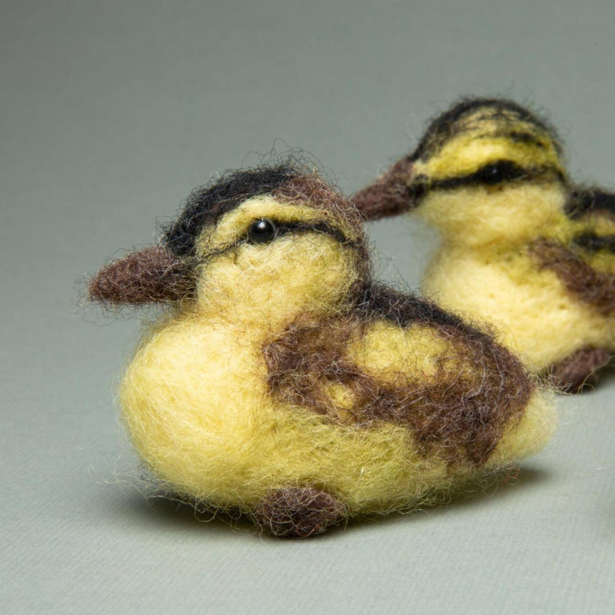 Charivna Mit Friendly Family Felting Kit